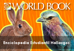 Rabbit and exotic bird