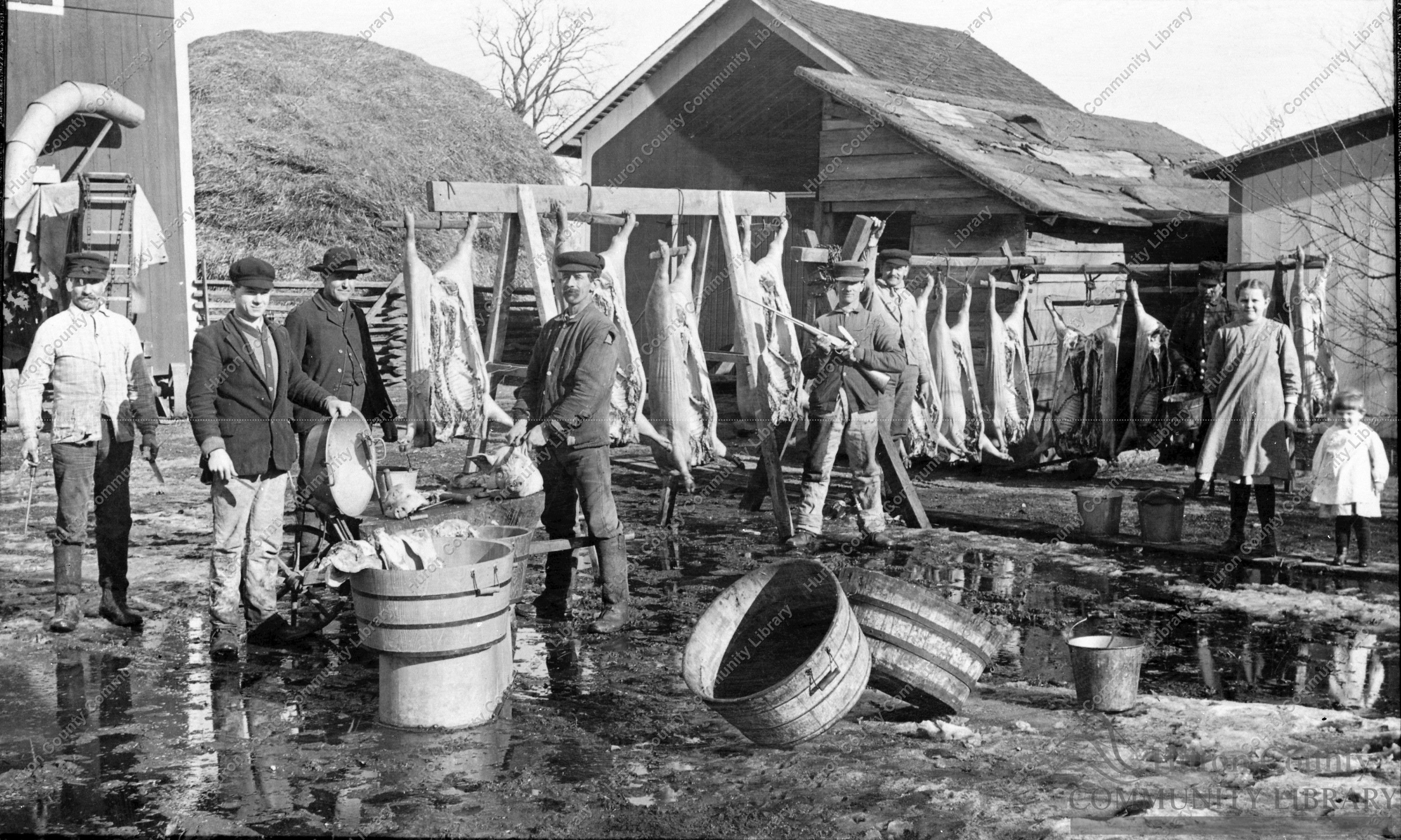 Neighborhood Butchering Bee South of Celeryville area 1904