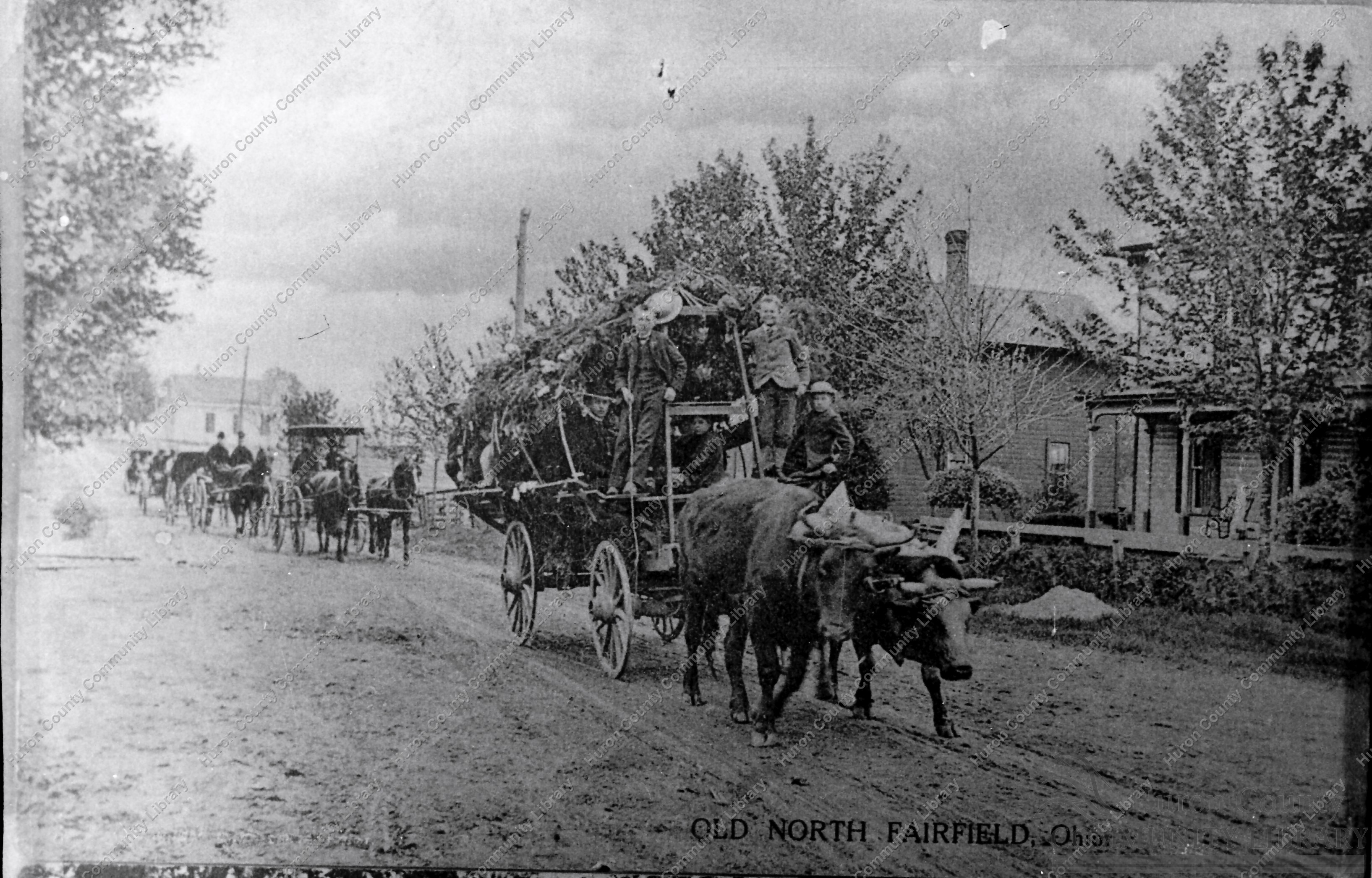 Procession or Parade in North Fairfield ca 1912 - note team of oxen