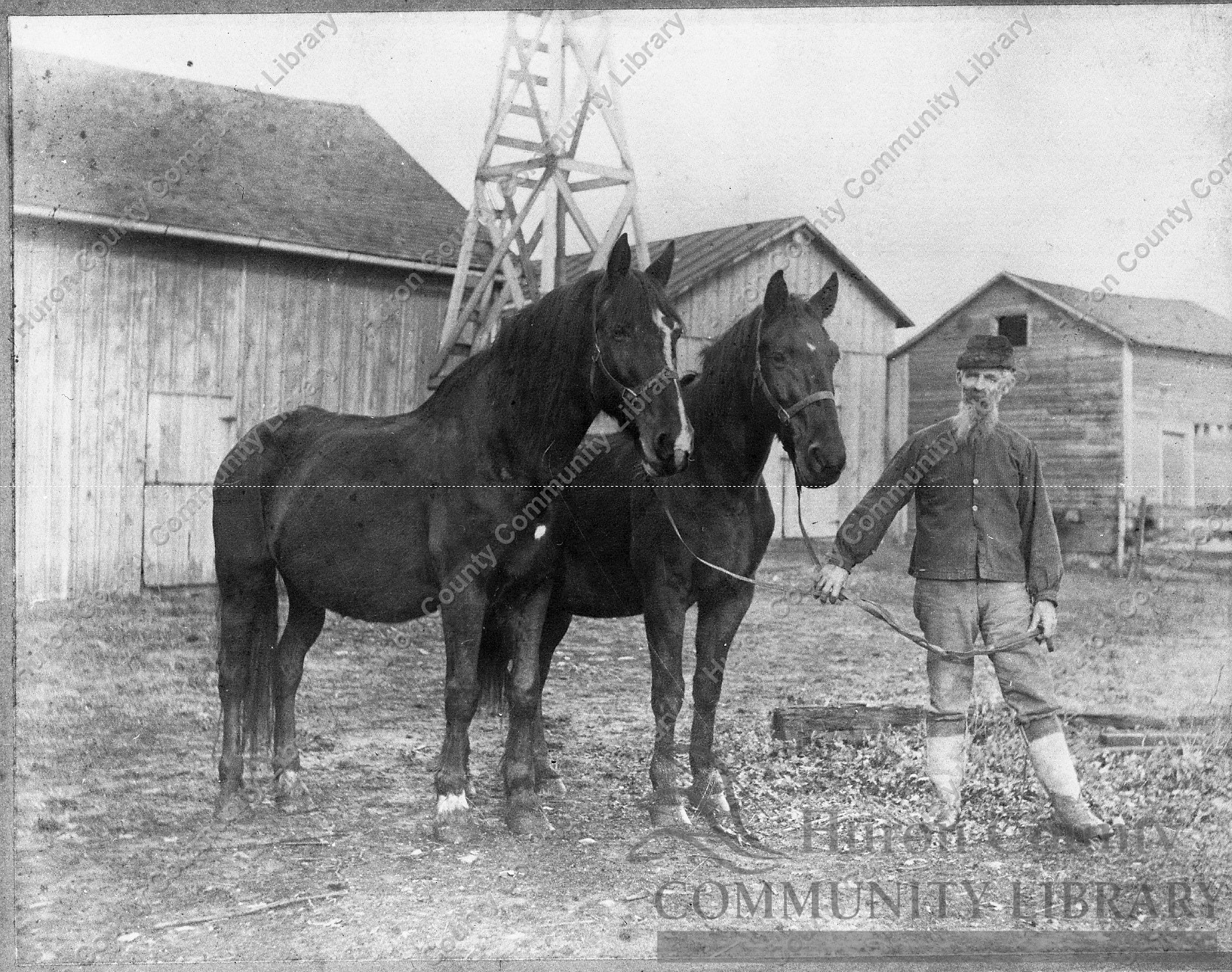 Two horses, a man & wagon