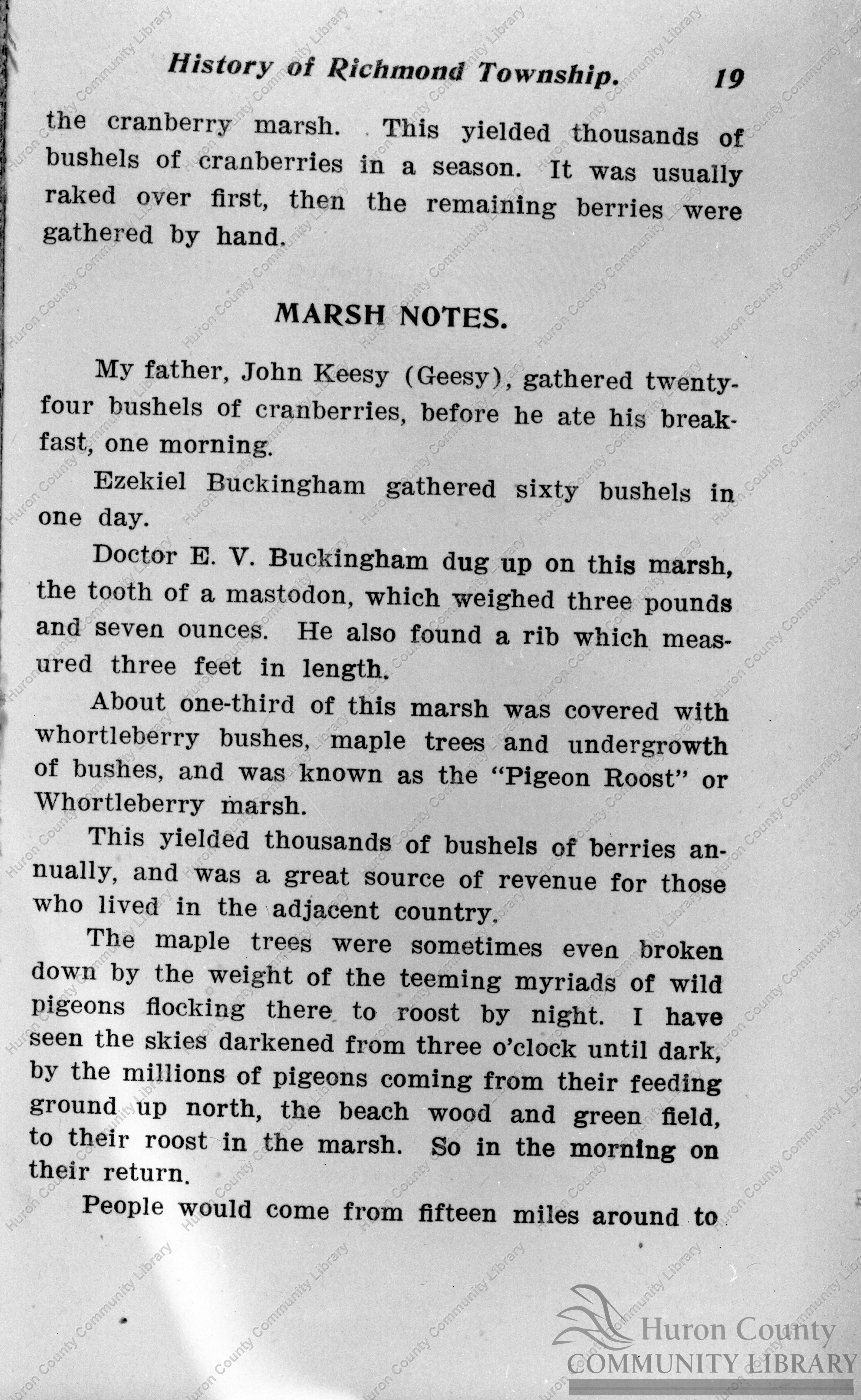 Page #19 from Rev. Keesey's History of Territory