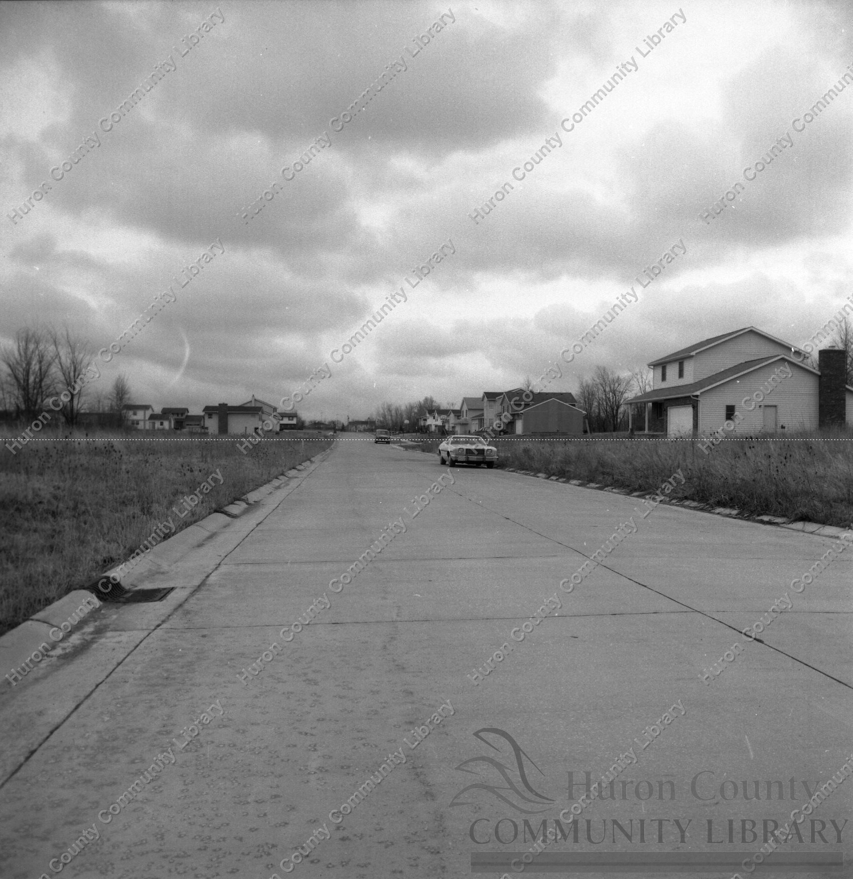 Looking North from South portion of Tamarack toward Linden Ave.