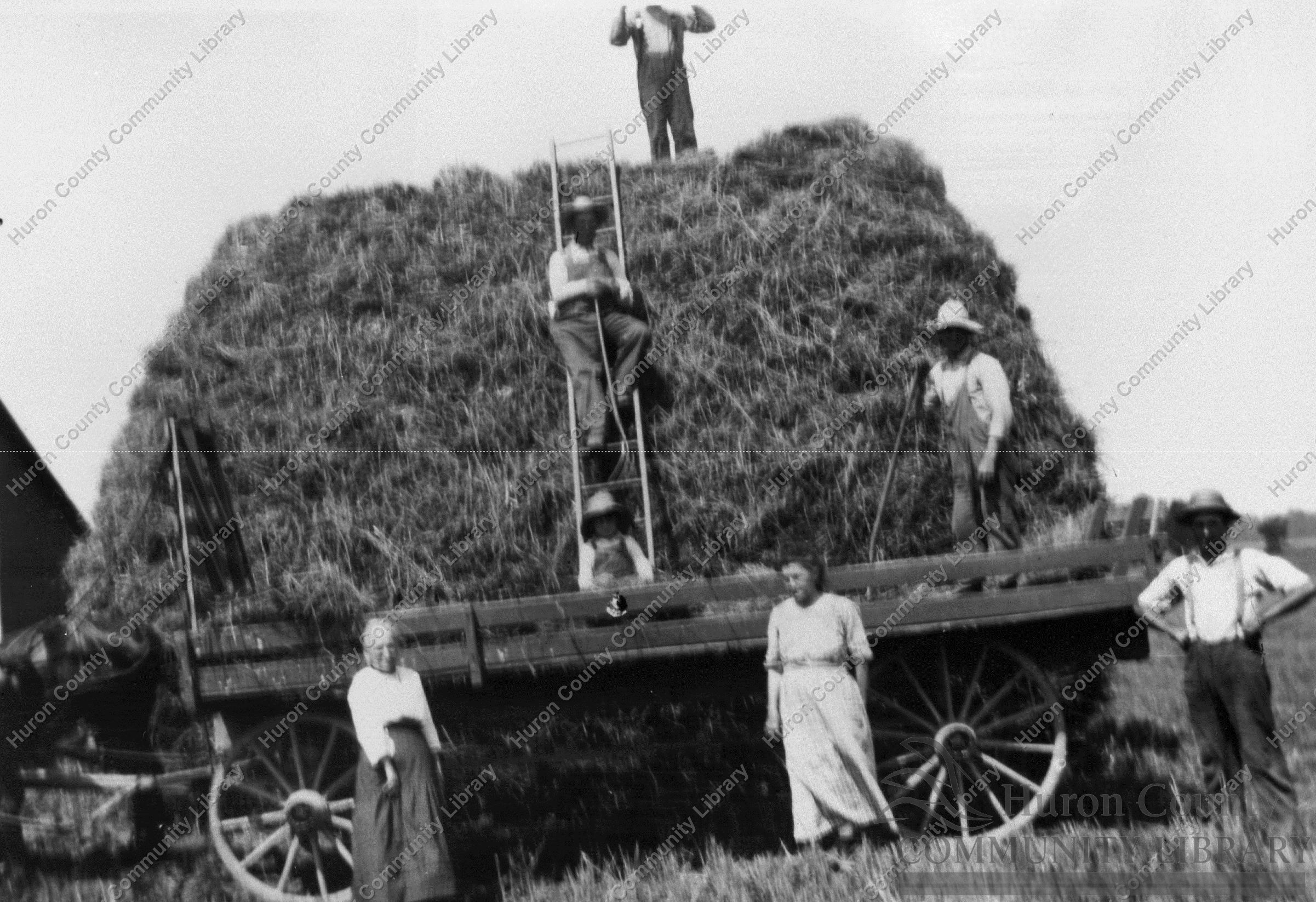 Hauling Grain to Barn Storage to await the Threshers ca 1905